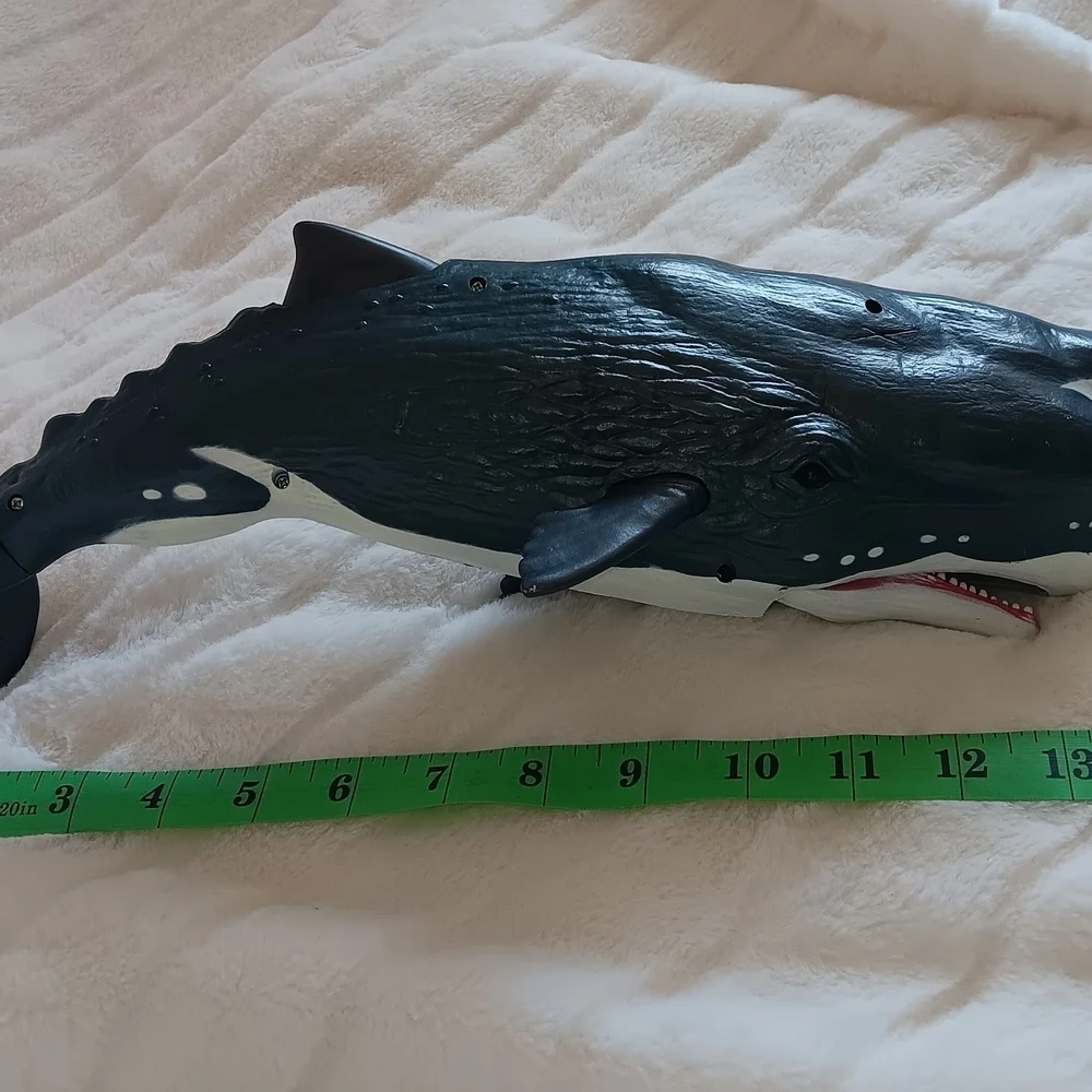 Whale big whale 14